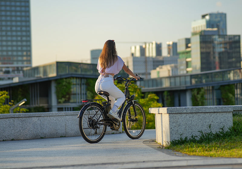 e-bike mit LCD-Display