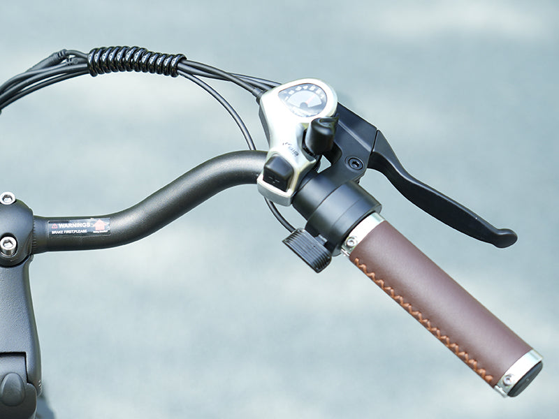 Schnellladendes Elektrofahrrad Pedalunterstützung & Gasgriff