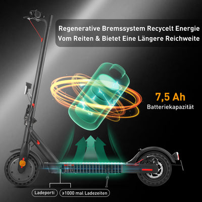 E9 Klassisch E-Scooter Mit Straßenzulassung (ABE eKFV)